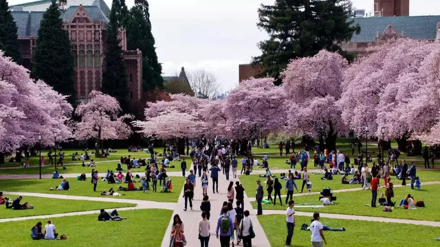 Jurusan Terbaik di Universitas Washington di Eropa